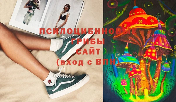 твердый Лагань