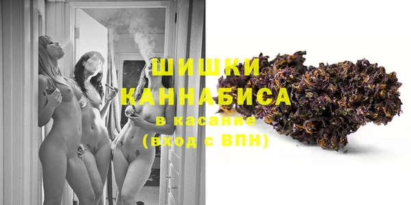 твердый Лагань