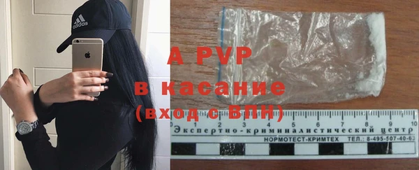 твердый Лагань