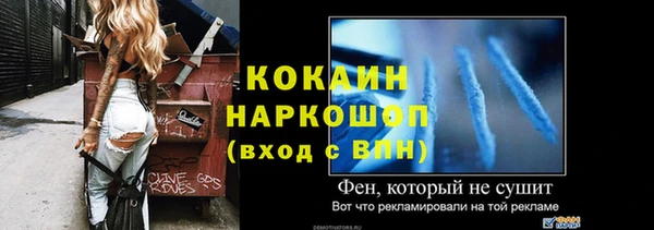 твердый Лагань