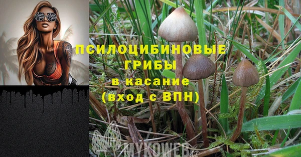 тгк Ладушкин