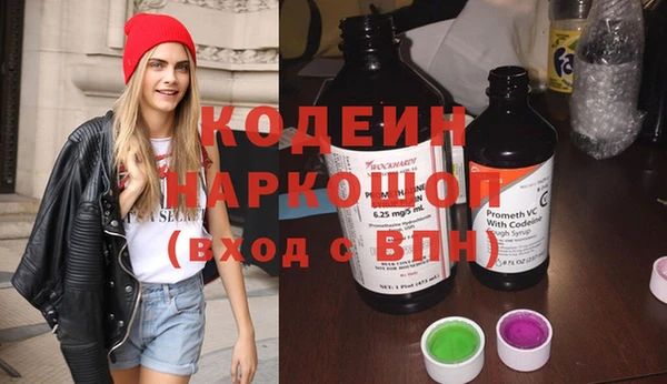 твердый Лагань