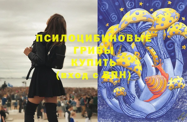 ПСИЛОЦИБИНОВЫЕ ГРИБЫ Лабытнанги