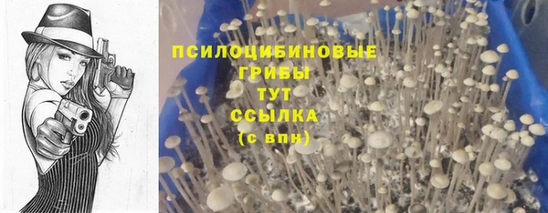 ПСИЛОЦИБИНОВЫЕ ГРИБЫ Лабытнанги