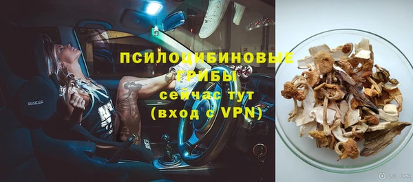 ПСИЛОЦИБИНОВЫЕ ГРИБЫ Лабытнанги