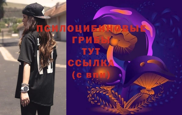 ПСИЛОЦИБИНОВЫЕ ГРИБЫ Лабытнанги