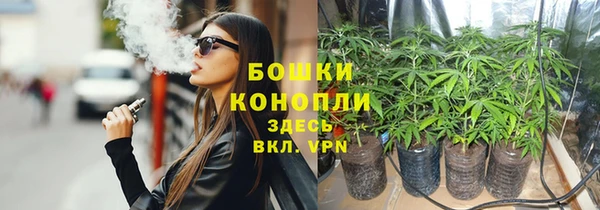 твердый Лагань