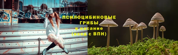 ПСИЛОЦИБИНОВЫЕ ГРИБЫ Лабытнанги