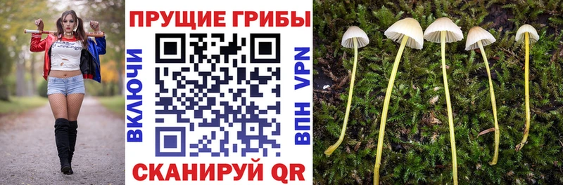 Псилоцибиновые грибы мухоморы Купить где Дальнереченск